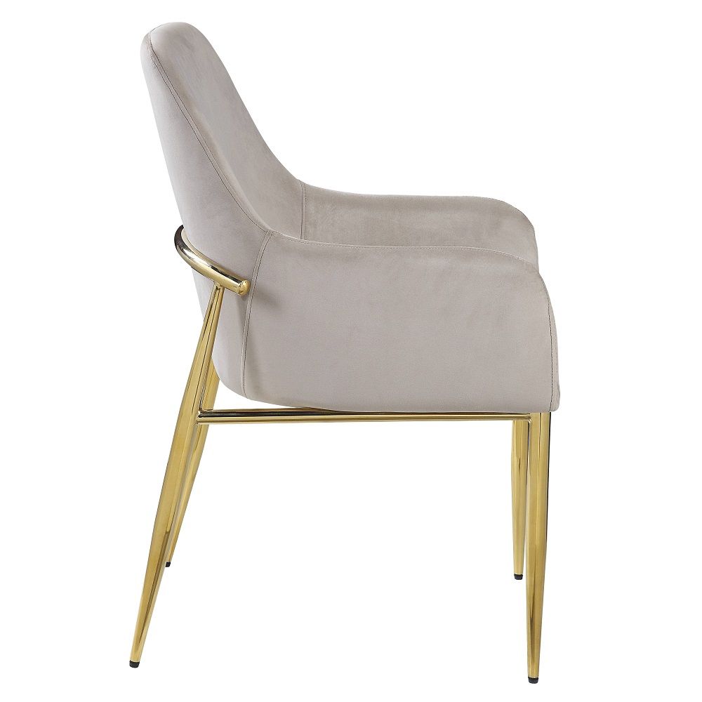 Barnard - Side Chair (Set of 2) - Gray Velvet & Mirrored Gold