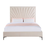 Faiz - Bed