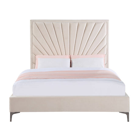 Faiz - Bed