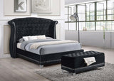 Barzini - Velvet Upholstered Tufted Storage Bench - Black