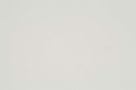 Adara - Arm Chair (Set of 2) - Pearl White Synthetic Leather & Antique White