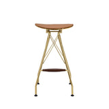 Dragea - Bar Stool (Set of 2) - Whiskey Synthetic Leather & Gold
