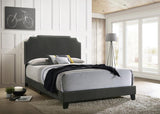 Tamarac - Upholstered Nailhead Bed